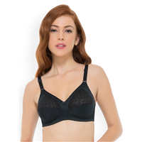 Amante Black Solid Non-Wired Non Padded&nbsp;&nbsp;