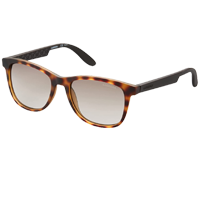 Carrera Men-Women Wayfarer Sunglasses&nbsp;&nbsp;&nbsp;&nbsp;