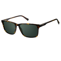 Pierre Cardin sunglasses&nbsp;&nbsp;&nbsp;&nbsp;&nbsp;&nbsp;&nbsp;&nbsp;&nbsp;&nbsp;&nbsp;&nbsp;&nbsp;&nbsp;&nbsp;&nbsp;&nbsp;