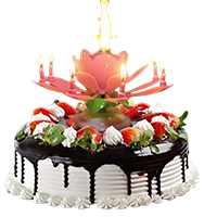 Jack Williams Musical Candle & Birthday&nbsp;&nbsp;