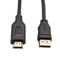 Amazon Basics DisplayPort (not USB port)&nbsp;