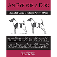 An Eye for a Dog: Illustrated Guide to J&nbsp;