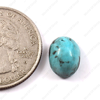 Oorja Turquoise (Firoza) (3.34 Carat, 3.&nbsp;