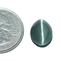 Oorja Cats Eye (Lehsunia) (7.69 Carat, 8&nbsp;