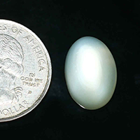 Oorja Moonstone (Chandrakant) (7.86 Cara&nbsp;