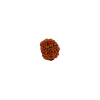 Oorja Ganesha Rudraksha&nbsp;&nbsp;&nbsp;&nbsp;&nbsp;&nbsp;&nbsp;&nbsp;&nbsp;&nbsp;&nbsp;&nbsp;&nbsp;&nbsp;&nbsp;&nbsp;&nbsp;&nbsp;