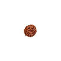 Oorja 9 Mukhi Rudraksha&nbsp;&nbsp;&nbsp;&nbsp;&nbsp;&nbsp;&nbsp;&nbsp;&nbsp;&nbsp;&nbsp;&nbsp;&nbsp;&nbsp;&nbsp;&nbsp;&nbsp;&nbsp;