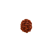 Oorja 7 Mukhi Rudraksha&nbsp;&nbsp;&nbsp;&nbsp;&nbsp;&nbsp;&nbsp;&nbsp;&nbsp;&nbsp;&nbsp;&nbsp;&nbsp;&nbsp;&nbsp;&nbsp;&nbsp;&nbsp;