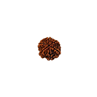 Oorja 6 Mukhi Rudraksha&nbsp;&nbsp;&nbsp;&nbsp;&nbsp;&nbsp;&nbsp;&nbsp;&nbsp;&nbsp;&nbsp;&nbsp;&nbsp;&nbsp;&nbsp;&nbsp;&nbsp;&nbsp;